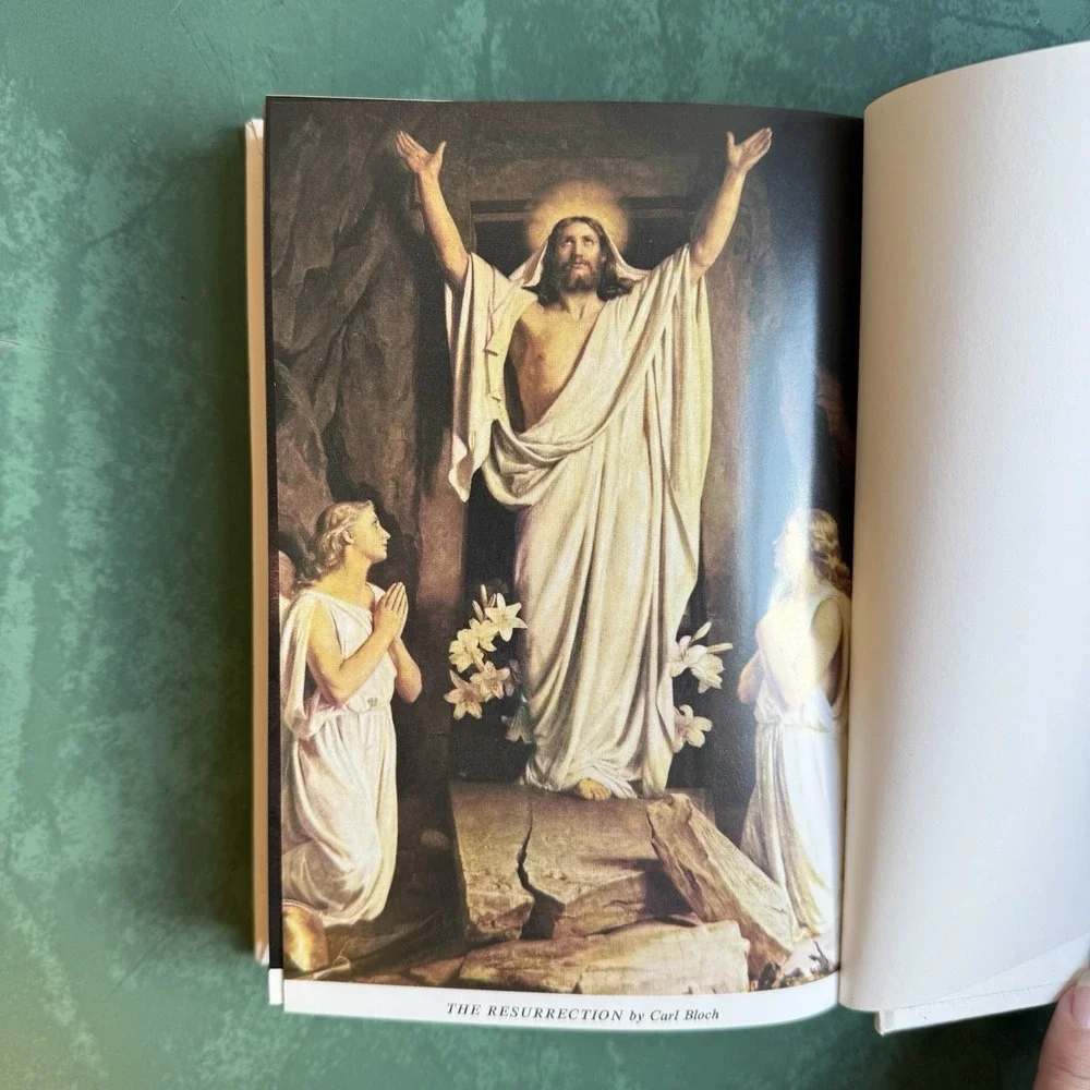 VTG 90s Dove of Peace KJV Holy Bible White Gold Gilt Illustrated Clean Unmarked